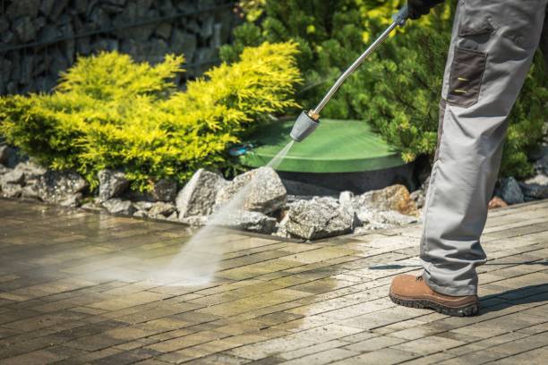 Best Roof Cleaning and Mildew Removal in Adams, WI