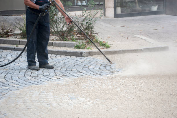 Best Soft Washing for Delicate Surfaces in Adams, WI
