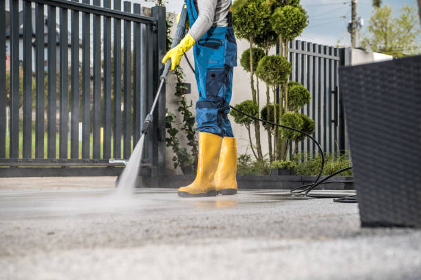 Best Building Exterior Pressure Washing in Adams, WI